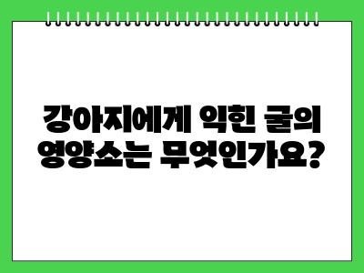 강아지 굴 먹어도 되나요? (익힌굴)
