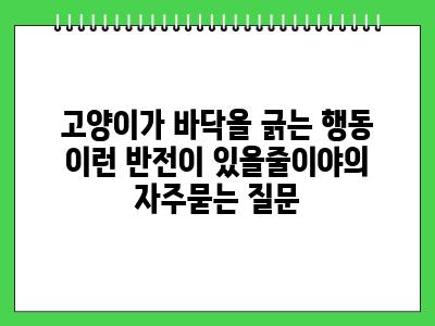 고양이가 바닥을 긁는 행동 이런 반전이 있을줄이야