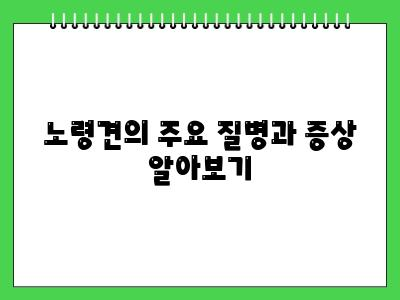 노령견이 걸리기 쉬운 질병 이것보고 건강관리 해주세요