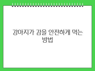 강아지 감 먹어도 되나요?