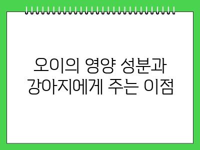 강아지도 오이 먹어도 될까? 급여량