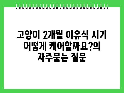 고양이 2개월 이유식 시기 어떻게 케어할까요?