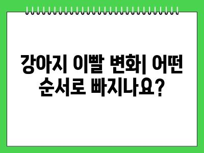 강아지 이빨 빠짐, 이갈이 시기와 순서 알아봐요