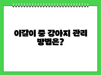강아지 이빨 빠짐, 이갈이 시기와 순서 알아봐요