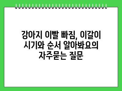 강아지 이빨 빠짐, 이갈이 시기와 순서 알아봐요