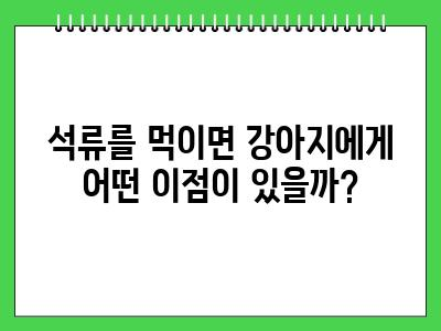 강아지 석류 먹어도 되나요? 주의사항
