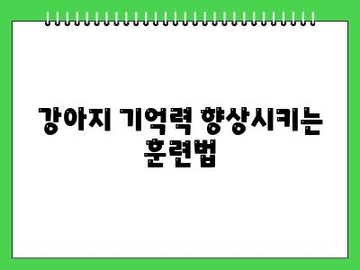 강아지 기억력 이정도라고?