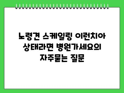 노령견 스케일링 이런치아 상태라면 병원가세요