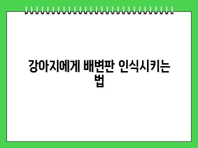강아지 배변판 훈련 정석대로 알려드릴게요