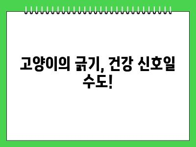 고양이가 바닥을 긁는 행동 이런 반전이 있을줄이야