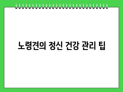 노령견이 걸리기 쉬운 질병 이것보고 건강관리 해주세요