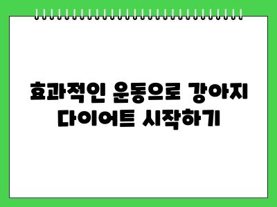 강아지 다이어트 방법은?