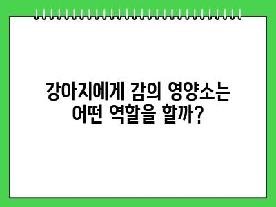강아지 감 먹어도 되나요?