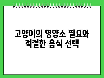 고양이 2개월 이유식 시기 어떻게 케어할까요?