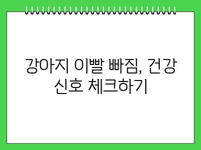 강아지 이빨 빠짐, 이갈이 시기와 순서 알아봐요