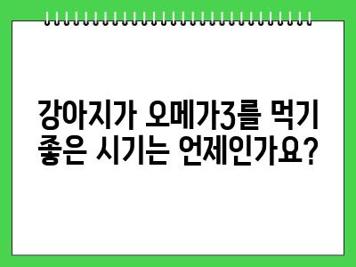 강아지 오메가3 언제부터 먹이나요?