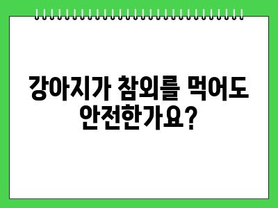 강아지 참외 먹어도 되나요?