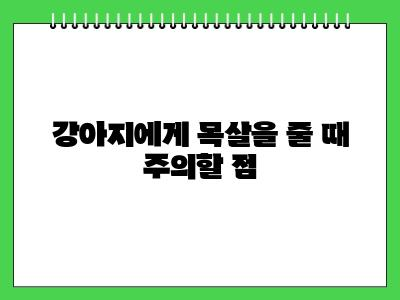 강아지 목살 먹어도 되나요?