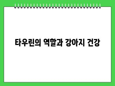 강아지 심장에 좋은 음식 타우린성분 아세요?