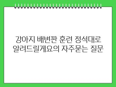 강아지 배변판 훈련 정석대로 알려드릴게요