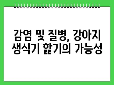강아지가 생식기를 핥는 이유 이것 가능성 있음