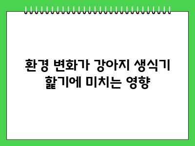 강아지가 생식기를 핥는 이유 이것 가능성 있음