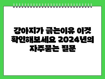 강아지가 긁는이유 이것 확인해보세요 2024년