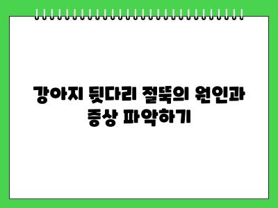 강아지 뒷다리 절뚝 일시적일 수 있지만