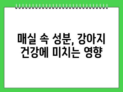 강아지 매실 먹어도 되나요?