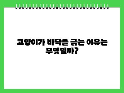 고양이가 바닥을 긁는 행동 이런 반전이 있을줄이야