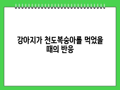 강아지 천도복숭아 먹어도 되나요?