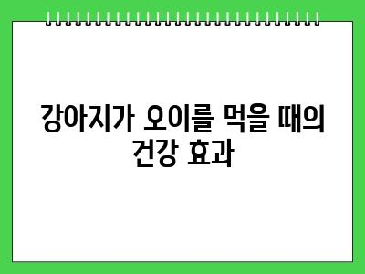 강아지도 오이 먹어도 될까? 급여량