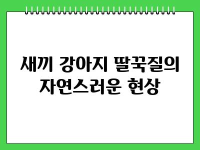 새끼 강아지 딸꾹질 하는 이유