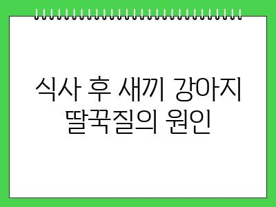 새끼 강아지 딸꾹질 하는 이유
