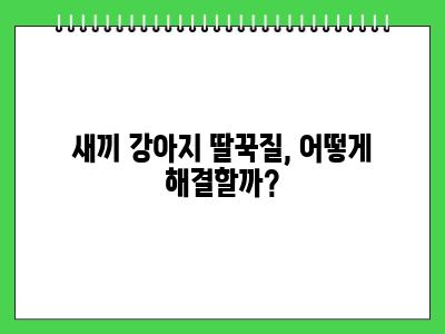 새끼 강아지 딸꾹질 하는 이유