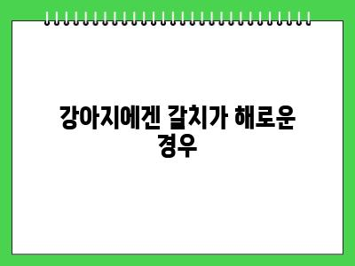 강아지 갈치 먹어도 되나요?