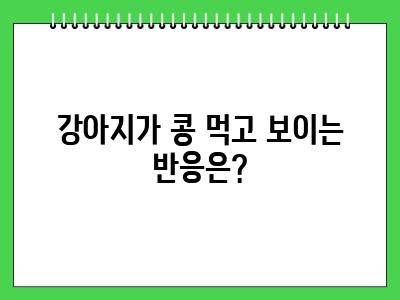 강아지 콩 먹어도 되나요?