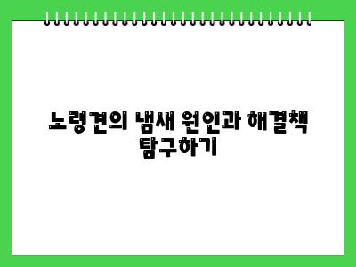 노령견 냄새 제거 다들 이렇게 하고있습니다
