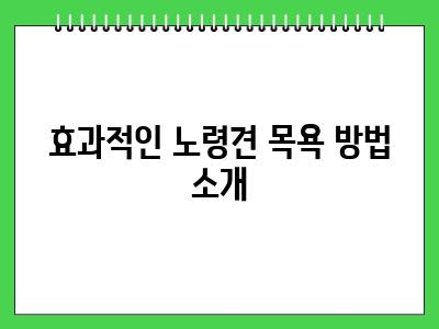 노령견 냄새 제거 다들 이렇게 하고있습니다