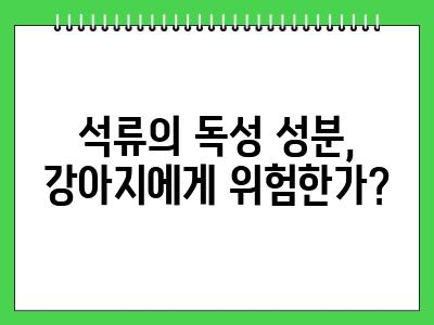 강아지 석류 먹어도 되나요? 주의사항