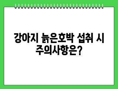 강아지 늙은호박 먹어도 되나요?