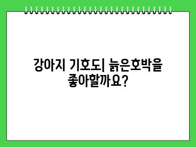강아지 늙은호박 먹어도 되나요?