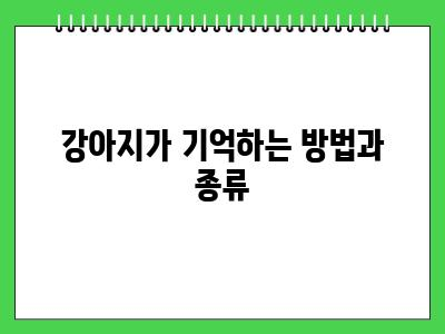 강아지 기억력 이정도라고?