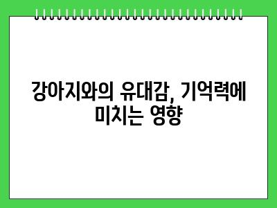 강아지 기억력 이정도라고?