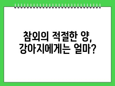 강아지 참외 먹어도 되나요?