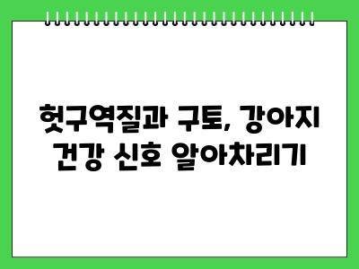 강아지가 밥먹고 난 후 헛구역질 및 구토 이것때문