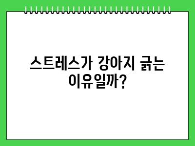강아지가 긁는이유 이것 확인해보세요 2024년