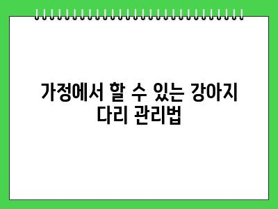 강아지 뒷다리 절뚝 일시적일 수 있지만