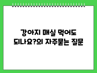 강아지 매실 먹어도 되나요?