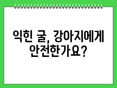 강아지 굴 먹어도 되나요? (익힌굴)